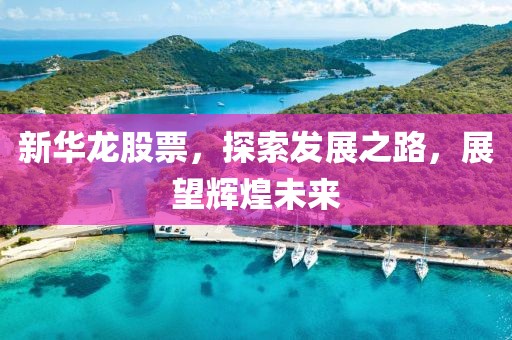 新華龍股票，探索發(fā)展之路，展望輝煌未來(lái)