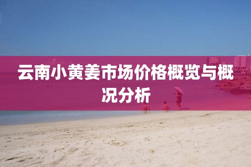 云南小黃姜市場價格概覽與概況分析