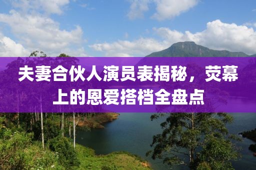 夫妻合伙人演員表揭秘,熒幕上的恩愛(ài)搭檔全盤(pán)點(diǎn)