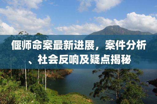 偃師命案最新進展，案件分析、社會反響及疑點揭秘