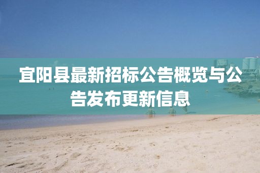 宜陽(yáng)縣最新招標(biāo)公告概覽與公告發(fā)布更新信息