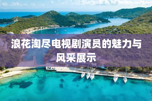 浪花淘盡電視劇演員的魅力與風(fēng)采展示