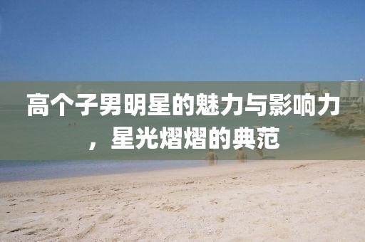 高個(gè)子男明星的魅力與影響力,星光熠熠的典范