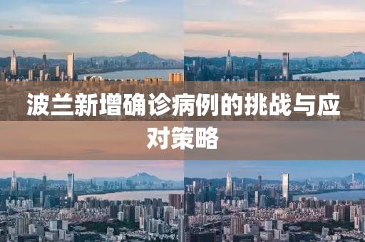 波蘭新增確診病例的挑戰(zhàn)與應(yīng)對策略