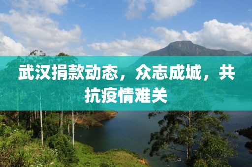 武漢捐款動態(tài)，眾志成城，共抗疫情難關