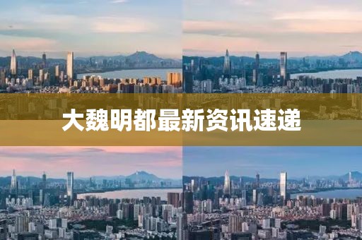 大魏明都最新資訊速遞