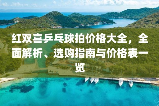 紅雙喜乒乓球拍價格大全,全面解析、選購指南與價格表一覽