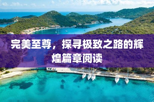 完美至尊，探尋極致之路的輝煌篇章閱讀
