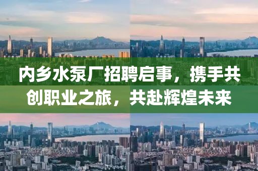 內(nèi)鄉(xiāng)水泵廠招聘啟事，攜手共創(chuàng)職業(yè)之旅，共赴輝煌未來