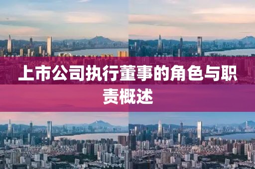 上市公司執(zhí)行董事的角色與職責(zé)概述