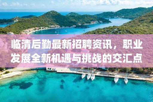臨清后勤最新招聘資訊,職業(yè)發(fā)展全新機(jī)遇與挑戰(zhàn)的交匯點(diǎn)
