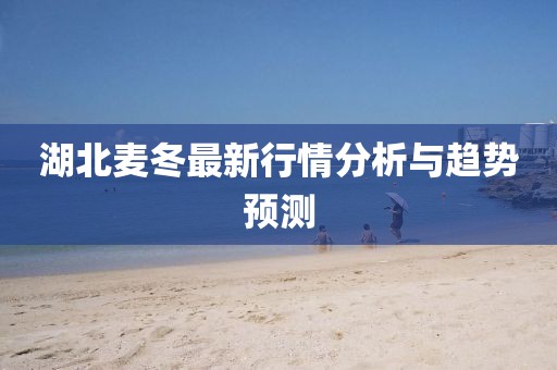 湖北麥冬最新行情分析與趨勢(shì)預(yù)測(cè)