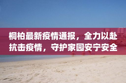 桐柏最新疫情通報(bào)，全力以赴抗擊疫情，守護(hù)家園安寧安全