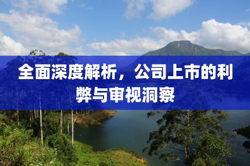 全面深度解析,公司上市的利弊與審視洞察