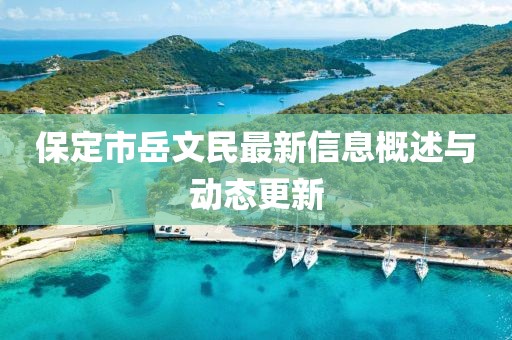 保定市岳文民最新信息概述與動(dòng)態(tài)更新