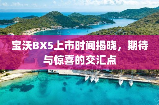 寶沃BX5上市時間揭曉，期待與驚喜的交匯點