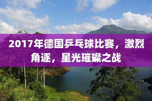 2017年德國乒乓球比賽，激烈角逐，星光璀璨之戰(zhàn)