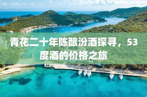 青花二十年陳釀汾酒探尋，53度酒的價(jià)格之旅