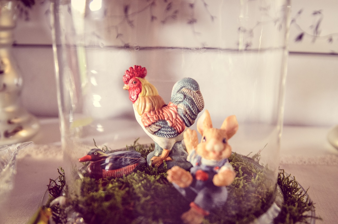 四不像正版+正版資料大全：本期推薦雞、雞、兔、雞