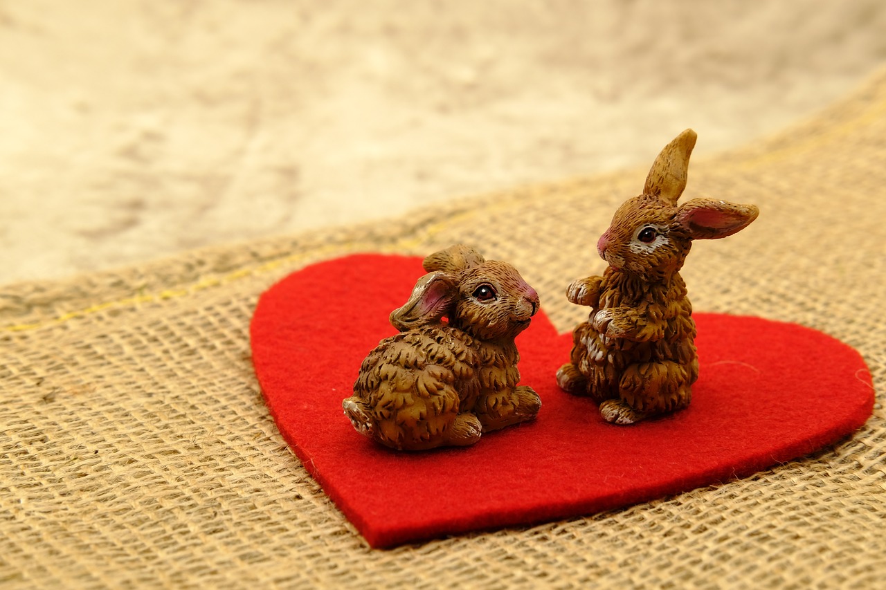 澳門天天彩期期精準(zhǔn)十二生肖：本期推薦鼠、雞、兔、蛇