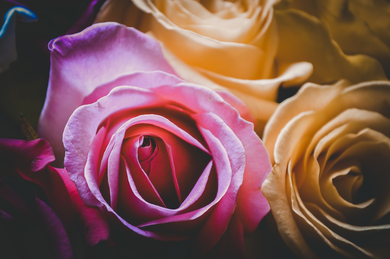 初六蘇梅小說最新章節(jié)，命運(yùn)轉(zhuǎn)折與情感糾葛的糾葛時(shí)刻