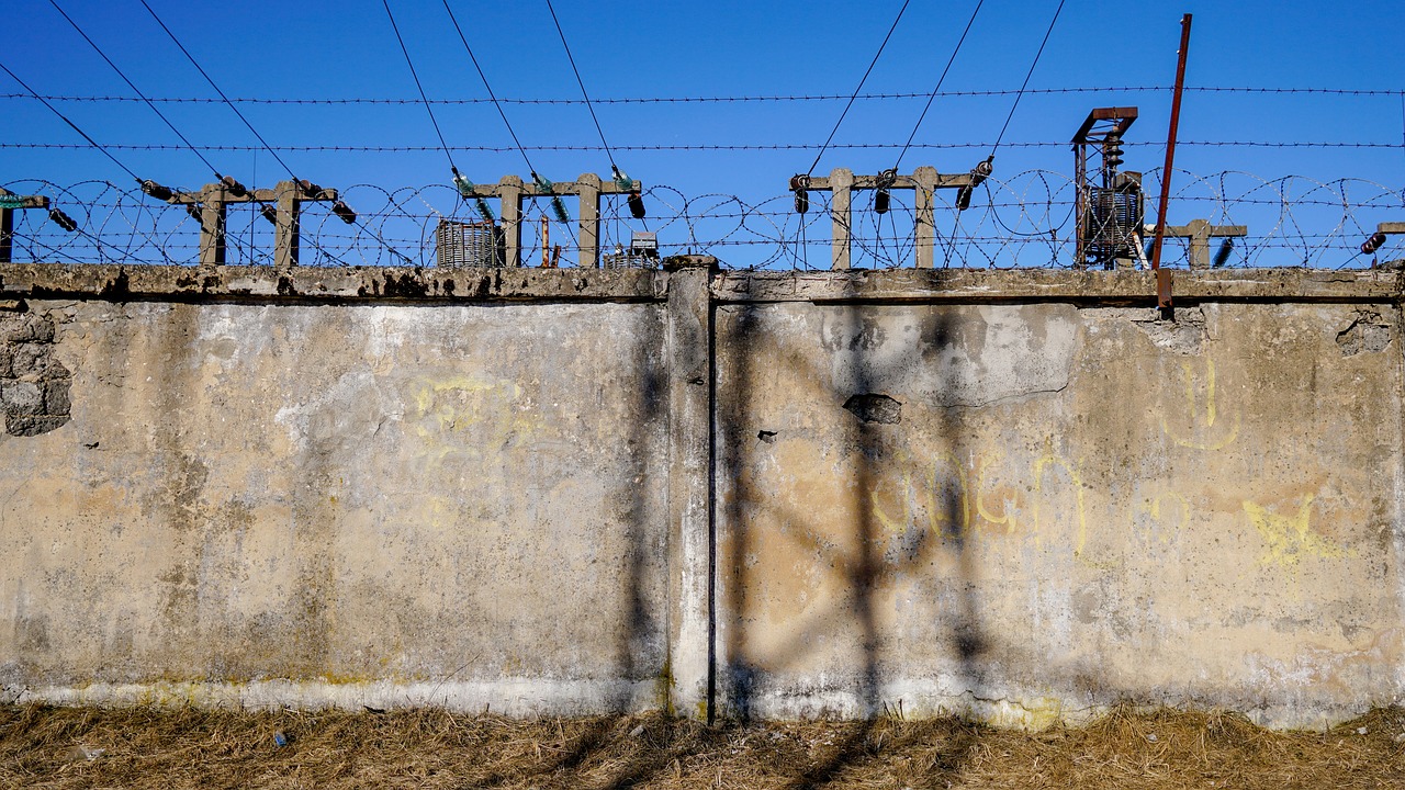 新開源引領(lǐng)科技前沿，開啟創(chuàng)新篇章新動態(tài)！