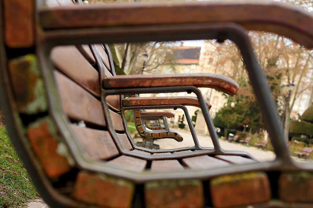 佟麗婭最新動(dòng)態(tài)，熒幕之外的光芒四射