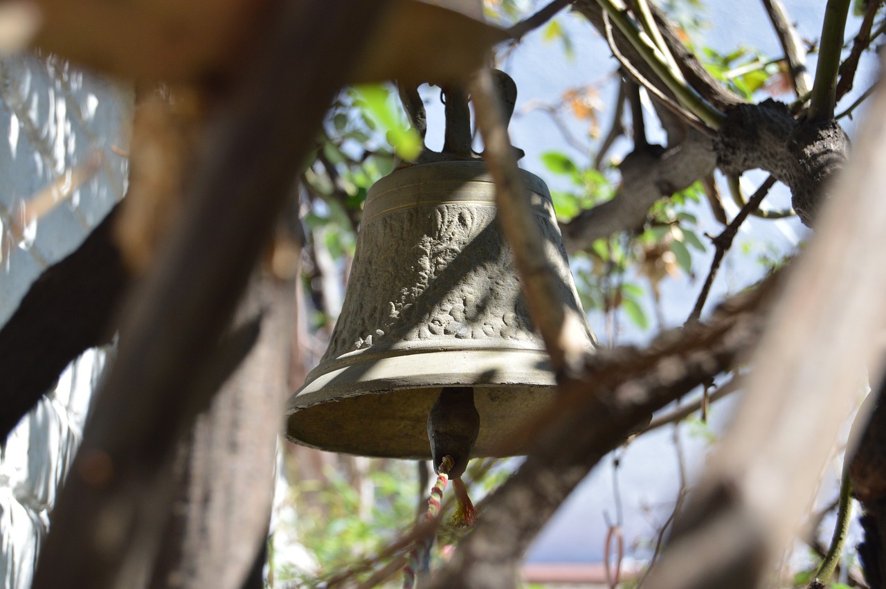 聊城長(zhǎng)豆角價(jià)格最新行情分析，市場(chǎng)動(dòng)態(tài)與價(jià)格走勢(shì)揭秘