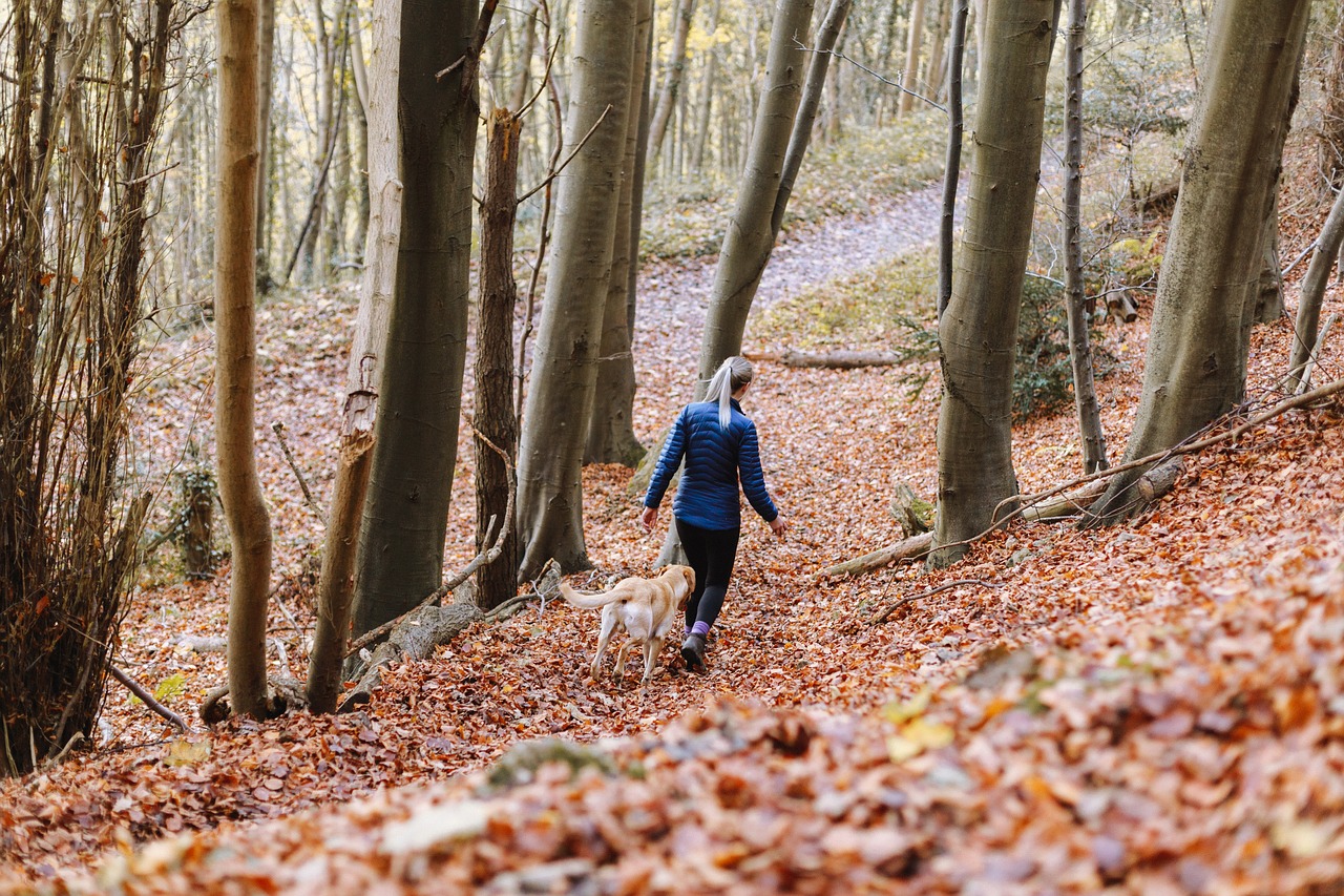 中登集團(tuán)最新資訊概覽，掌握最新動(dòng)態(tài)與資訊信息