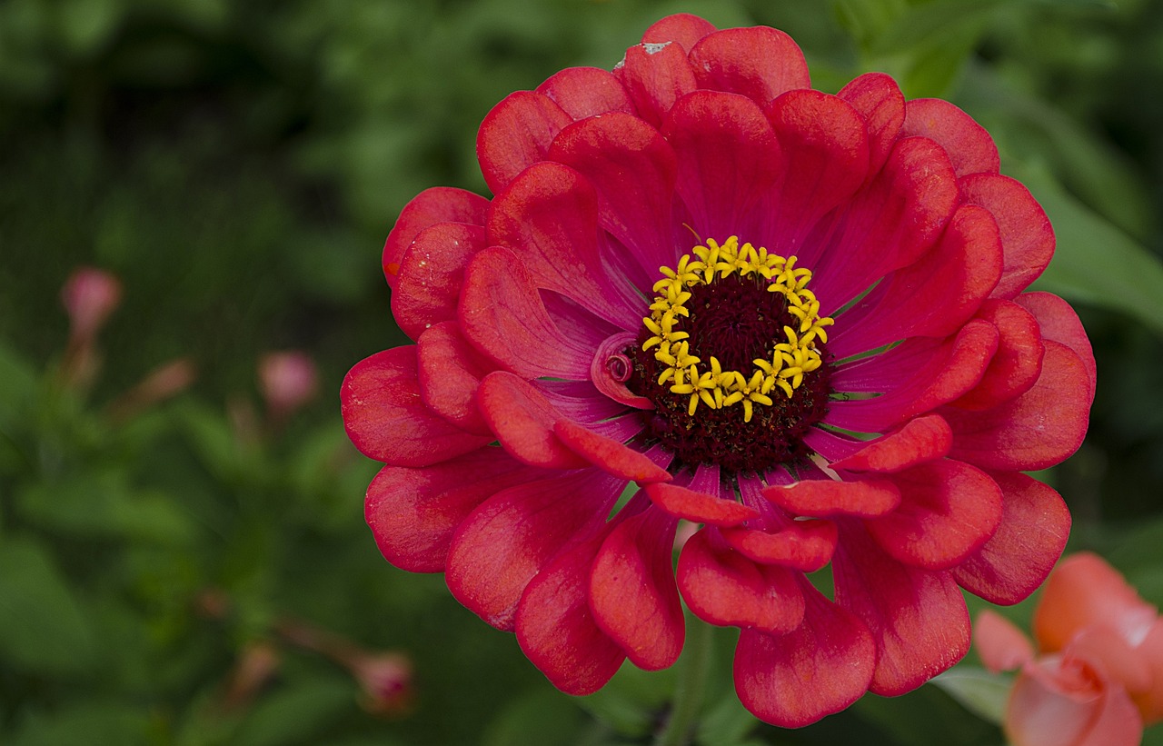 葵比賽，陽光活力，綻放精彩瞬間