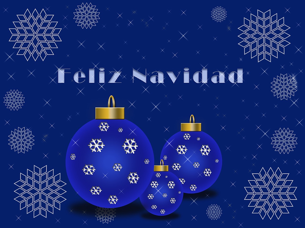 安吉麗卡最新資訊，探索明星世界的動(dòng)態(tài)更新