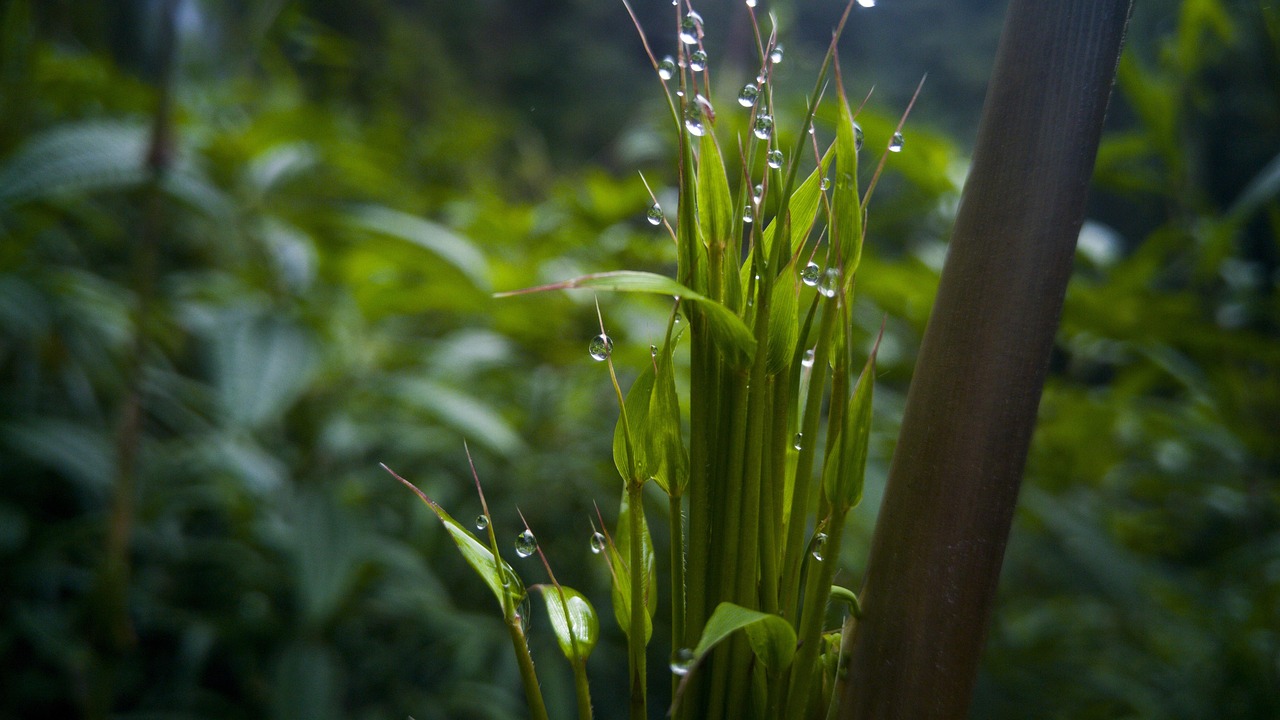 正海生物最新動態(tài)全面解析