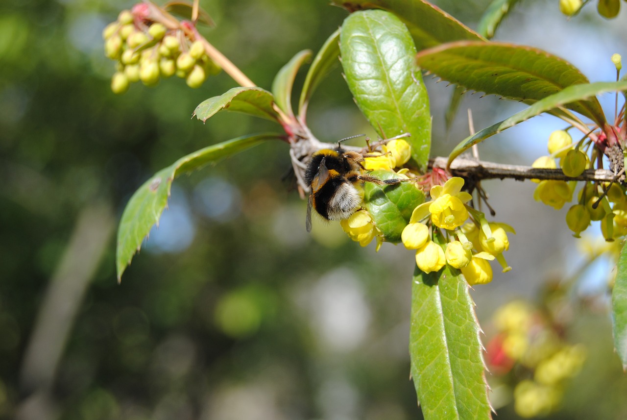 正海生物最新動態(tài)全面解析