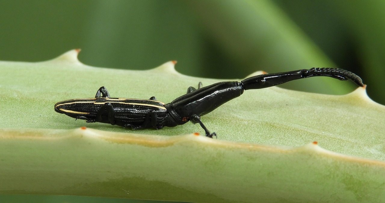正海生物最新動態(tài)全面解析