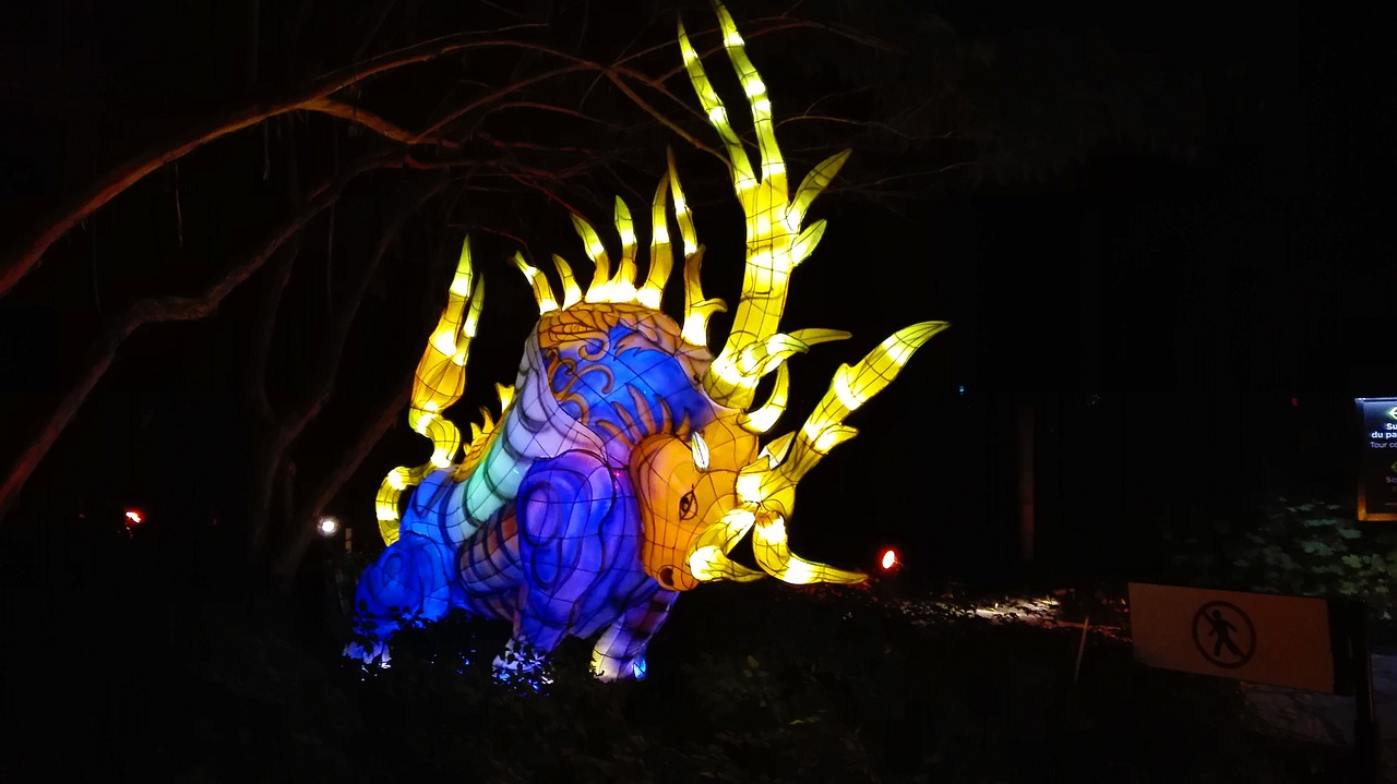 中華孝道園最新動態(tài)，深度解讀與前瞻展望