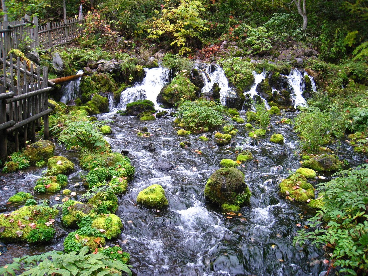 最新鄉(xiāng)村庭院設(shè)計(jì)，重塑自然與生活的和諧之美