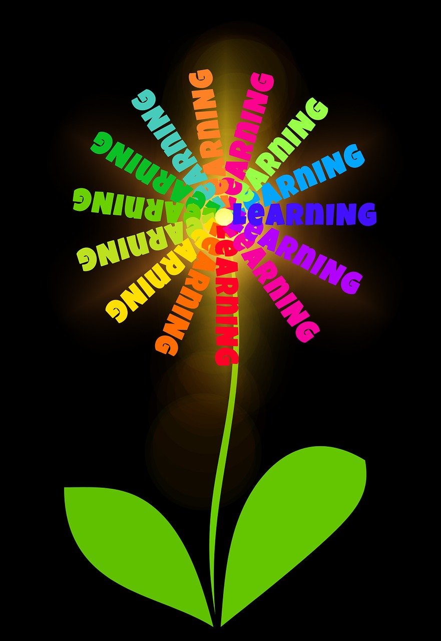 陳喬恩事業(yè)與生活新動(dòng)態(tài)，多彩篇章繼續(xù)展開(kāi)