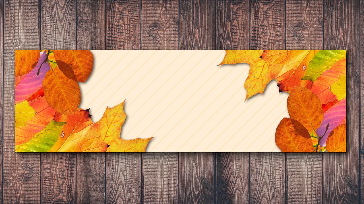 華為Mate 10最新動態(tài)，科技與創(chuàng)新的領(lǐng)跑者