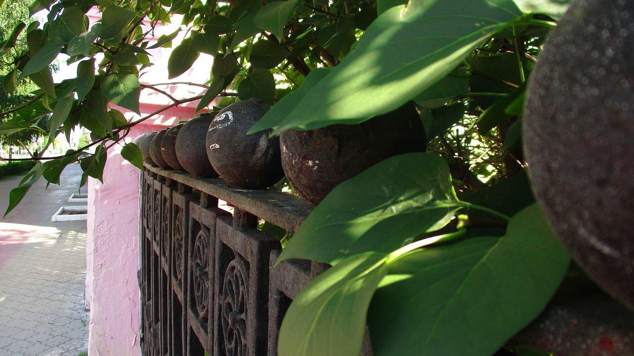 稻城亞丁防疫動態(tài)，守護自然美景與游客安全的雙重責(zé)任