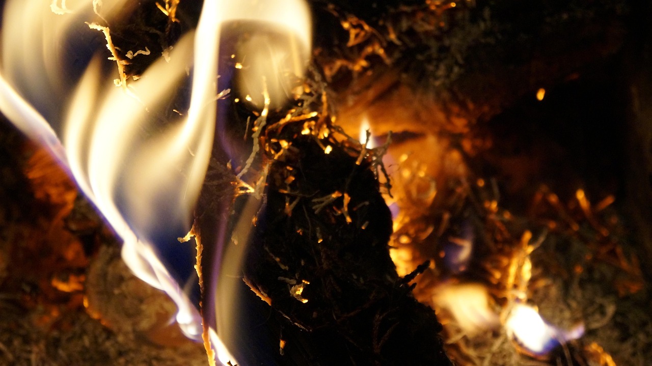 香純新品，探索純凈之香的全新境界的奇妙之旅