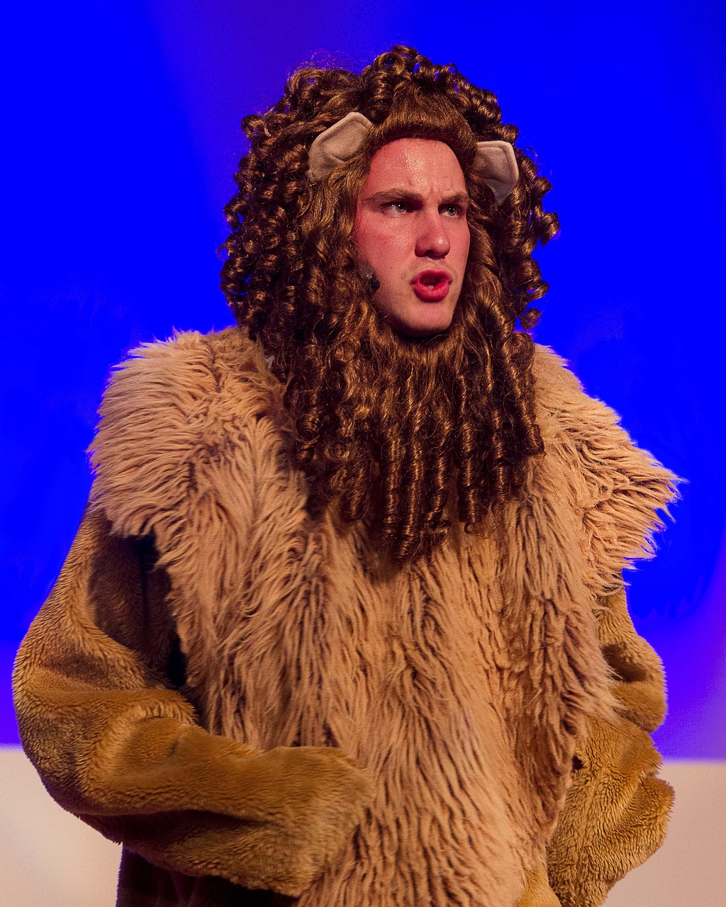 2025年2月 第451頁