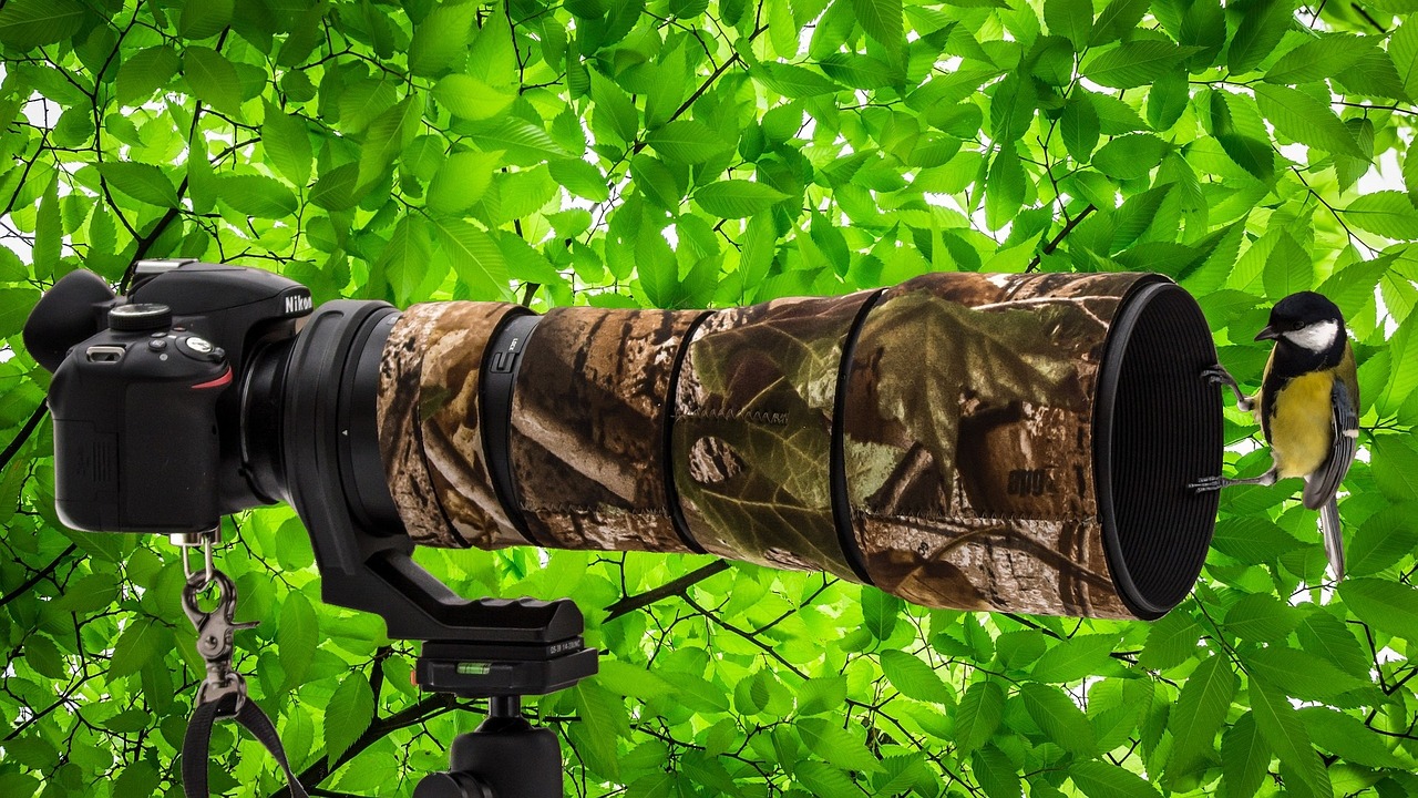 探索最新網絡熱點與動態(tài)圖像的魅力,513熱點動態(tài)圖網更新