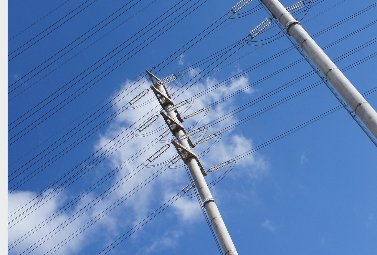 紛飛旳櫻花 第37頁