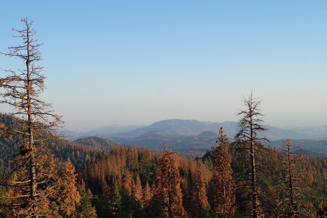泰國新國王引領(lǐng)國家走向新時代的征程最新動態(tài)