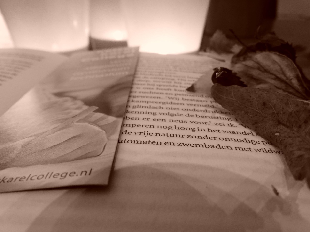 最新小說合集，探索文學(xué)的新疆界