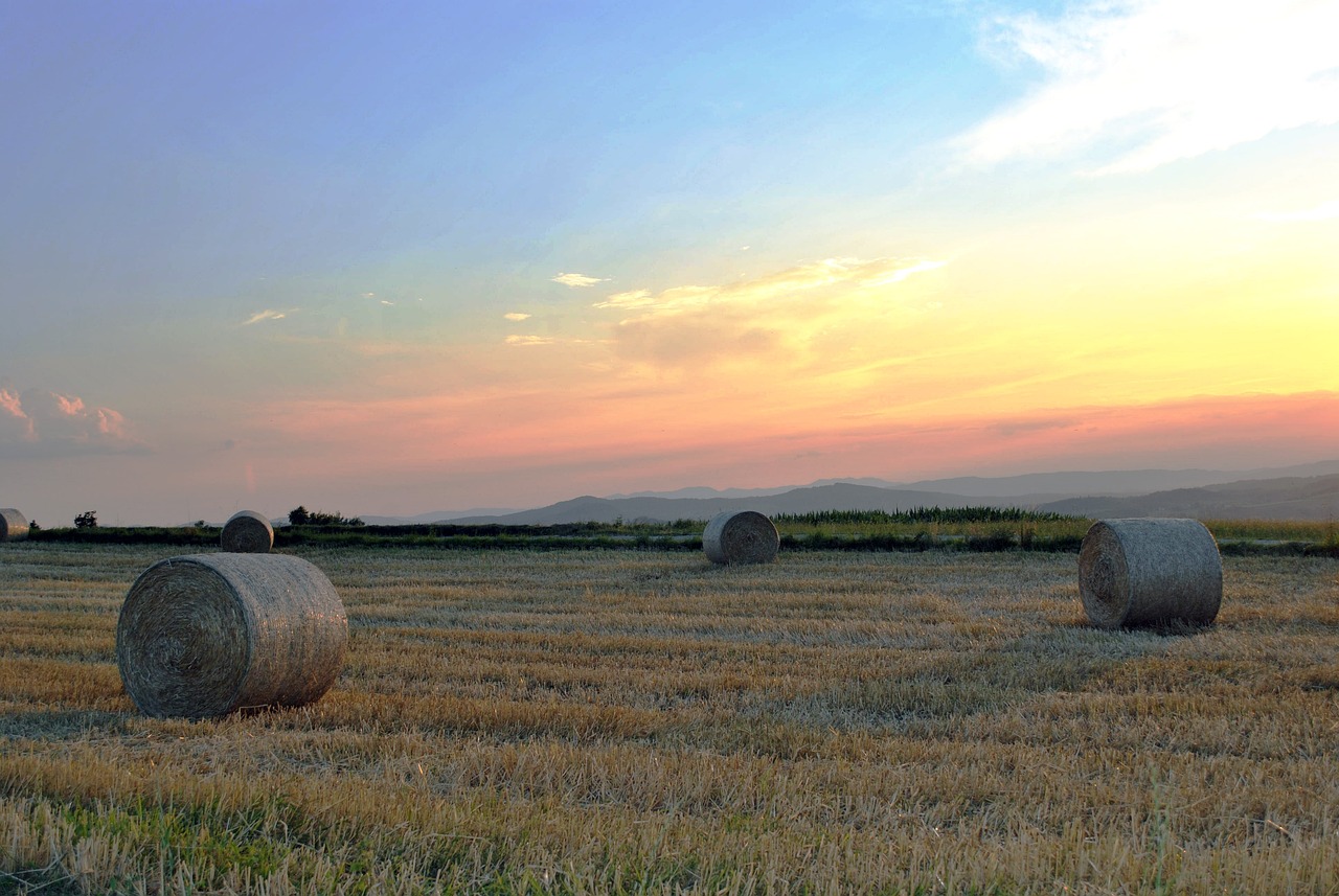 梁夏松副鎮(zhèn)長最新動態(tài)，推動地方發(fā)展的核心力量