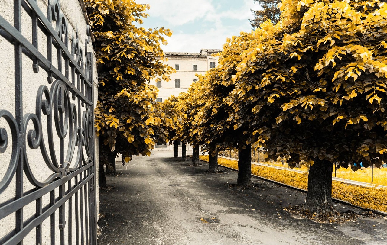 五一社區(qū)最新動(dòng)態(tài)，打造現(xiàn)代化宜居社區(qū)進(jìn)展播報(bào)