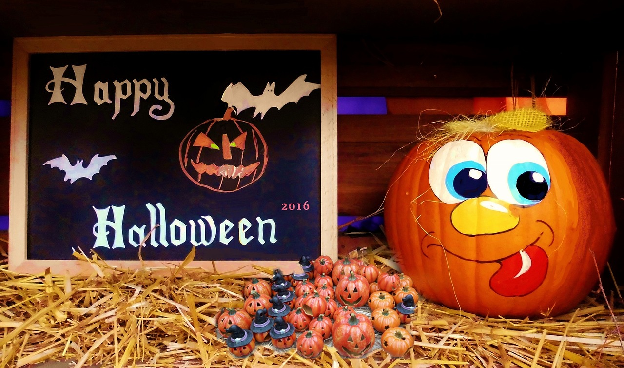 揭秘最新巨蟒動(dòng)態(tài)，蟒蛇世界的神秘面紗展露無遺