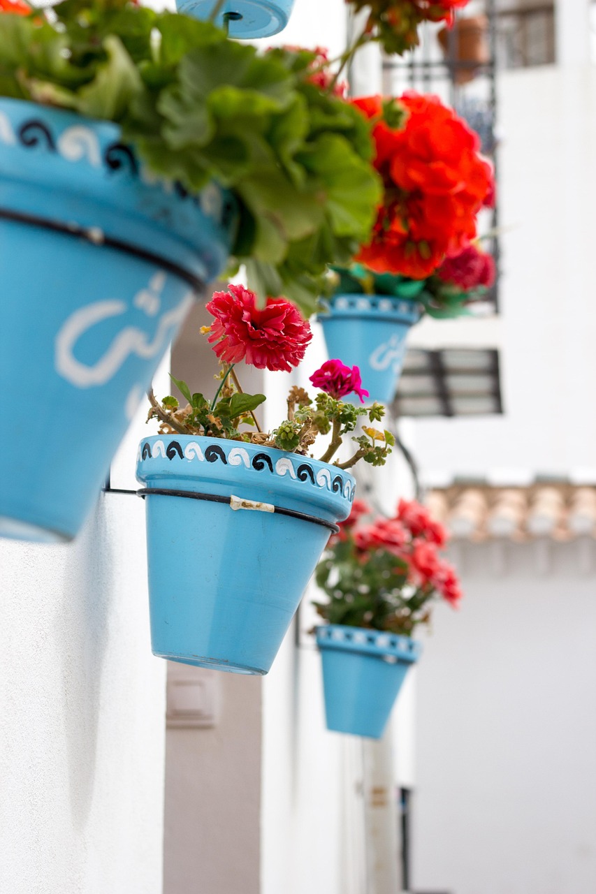 漳州北倉(cāng)路動(dòng)態(tài)更新,城市脈搏的躍動(dòng)之地