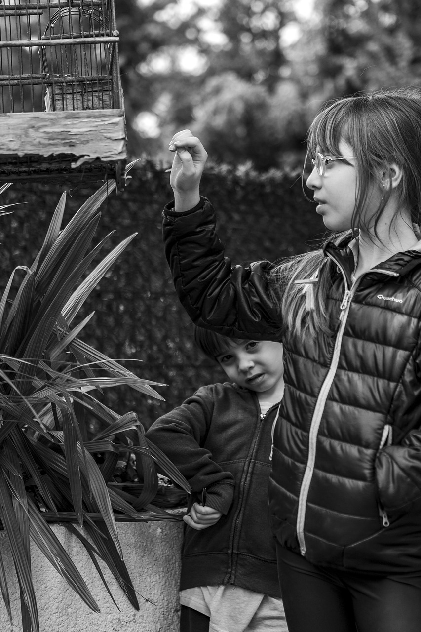 男上女下，電影中的權(quán)力與性別反轉(zhuǎn)探索